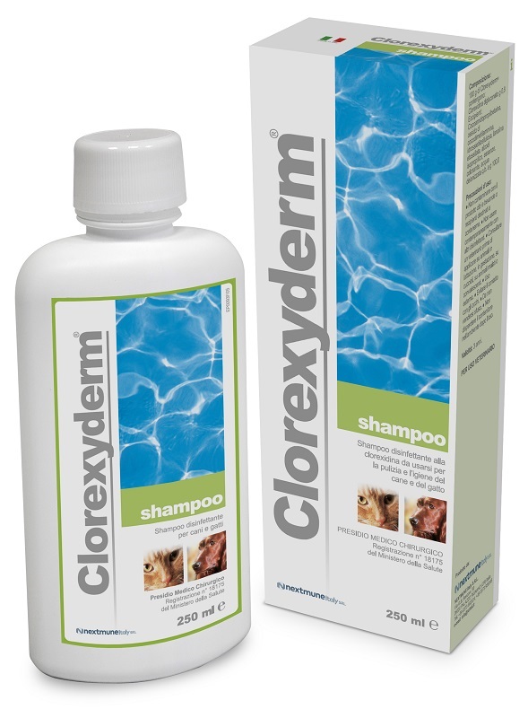 CLOREXYDERM SHAMPOO 250 ML - Farmacia Nuova Dr.ssa Gabriella Catellani