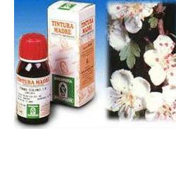 BIANCOSPINO 10 50ML TM - Farmacia Nuova Dr.ssa Gabriella Catellani