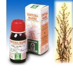 VERGA ORO 26 50ML TM - Farmacia Nuova Dr.ssa Gabriella Catellani