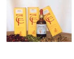 RIBES GEMME MACERATO GLICERICO 100 ML - Farmacia Nuova Dr.ssa Gabriella Catellani