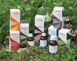 RAEMIL M1 MELILOTO COMPOSTO 25 ML - Farmacia Nuova Dr.ssa Gabriella Catellani