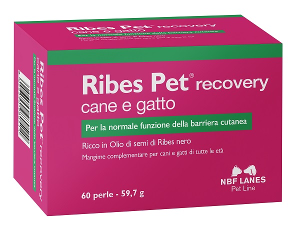 RIBES PET RECOVERY BLISTER 60 PERLE - Farmacia Nuova Dr.ssa Gabriella Catellani