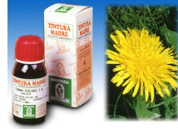 TARASSACO 28 50ML TM - Farmacia Nuova Dr.ssa Gabriella Catellani