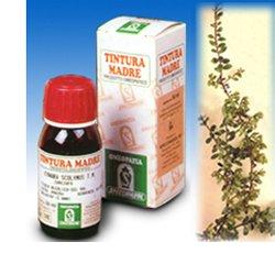 UVA URSINA 30 50ML TM - Farmacia Nuova Dr.ssa Gabriella Catellani