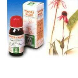 ECHINACEA 59 50ML TM - Farmacia Nuova Dr.ssa Gabriella Catellani