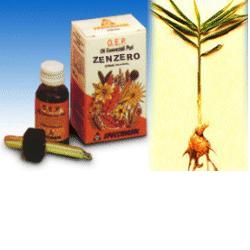 ZENZERO OLIO ESSENZIALE PURO 10 ML - Farmacia Nuova Dr.ssa Gabriella Catellani