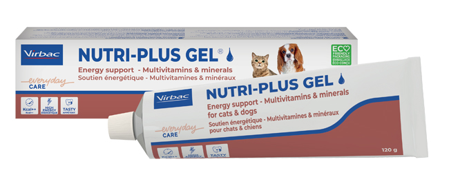 NUTRIPLUS GEL PASTA ORALE 120 G - Farmacia Nuova Dr.ssa Gabriella Catellani