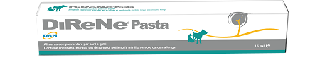 DIRENE PASTA 15 ML - Farmacia Nuova Dr.ssa Gabriella Catellani