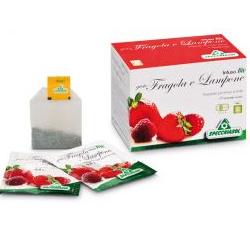 INFUSO BIO FRAGOLA E LAMPONE 20 FILTRI - Farmacia Nuova Dr.ssa Gabriella Catellani
