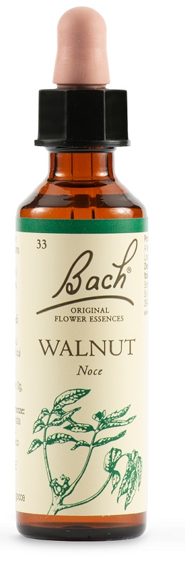 WALNUT BACH ORIG 20 ML - Farmacia Nuova Dr.ssa Gabriella Catellani