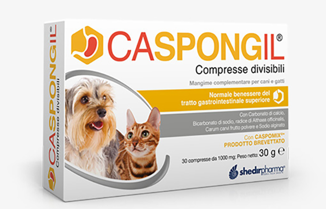 CASPONGIL 30 COMPRESSE DIVISIBILI - Farmacia Nuova Dr.ssa Gabriella Catellani
