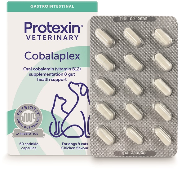 COBALAPLEX 60 CAPSULE - Farmacia Nuova Dr.ssa Gabriella Catellani