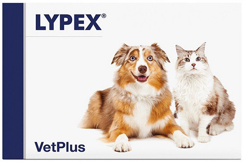 LYPEX 60 CAPSULE - Farmacia Nuova Dr.ssa Gabriella Catellani