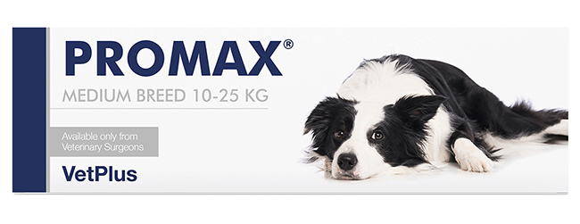 PROMAX MEDIUM BREED 18 ML - Farmacia Nuova Dr.ssa Gabriella Catellani