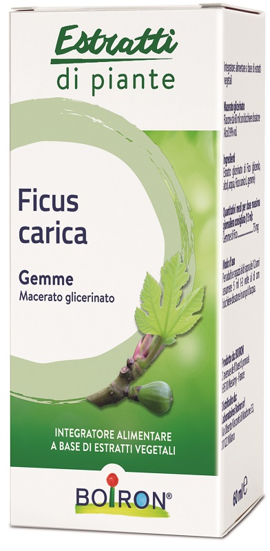 FICUS CARICA BOIRON MACERATO GLICERICO 60 ML - Farmacia Nuova Dr.ssa Gabriella Catellani