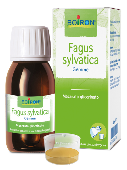 FAGUS SYLVATICA BOIRON MACERATO GLICERICO 60 ML - Farmacia Nuova Dr.ssa Gabriella Catellani