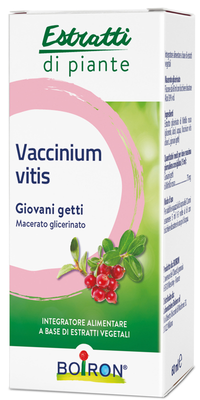 VACCINIUM VITIS MACERATO GLICERICO 60 ML - Farmacia Nuova Dr.ssa Gabriella Catellani