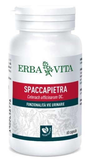 SPACCAPIETRA 60 CAPSULE - Farmacia Nuova Dr.ssa Gabriella Catellani