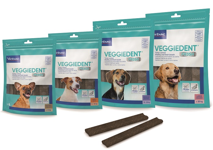 VEGGIEDENT FR3SH S 15 STICK - Farmacia Nuova Dr.ssa Gabriella Catellani